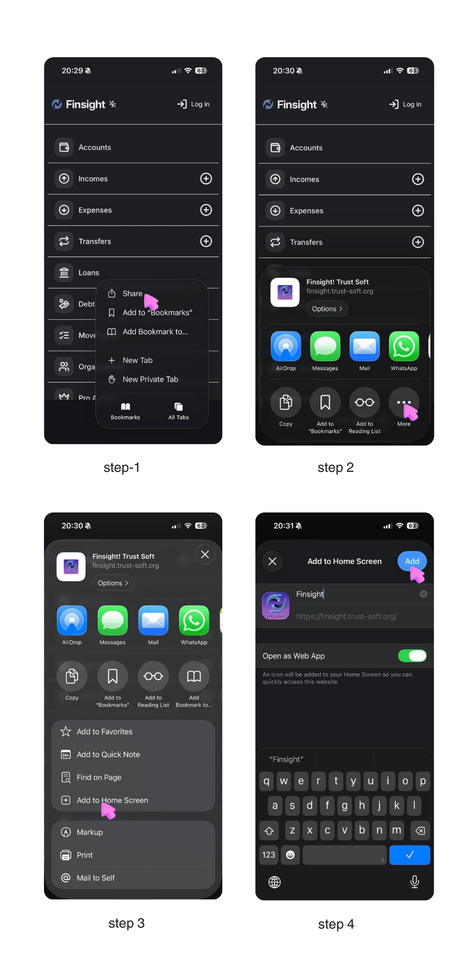Finsight iOS install guide